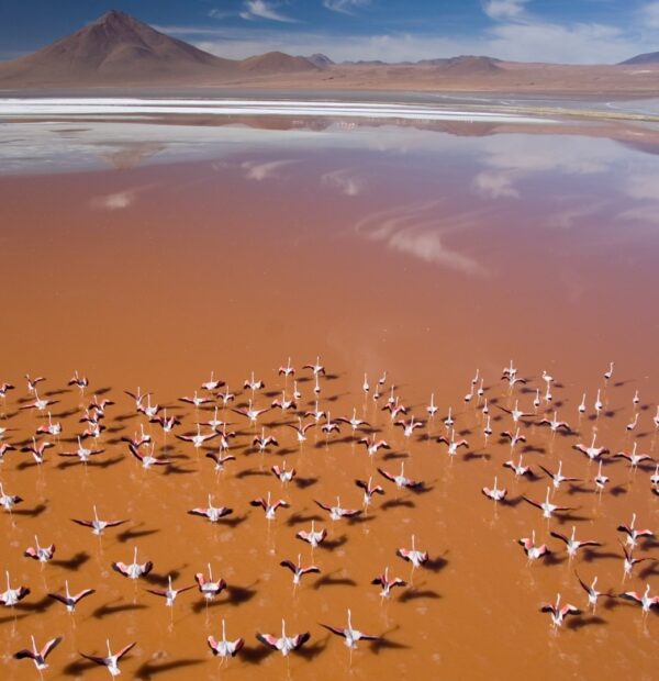 bolivie052