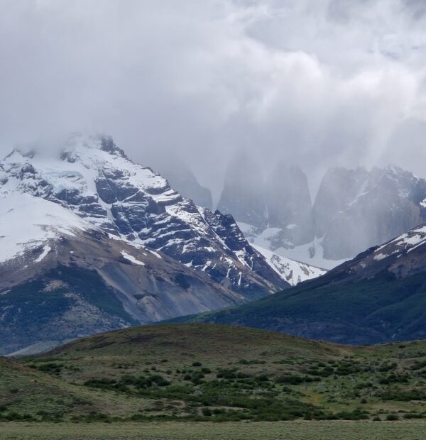 13 000 argentine (40)
