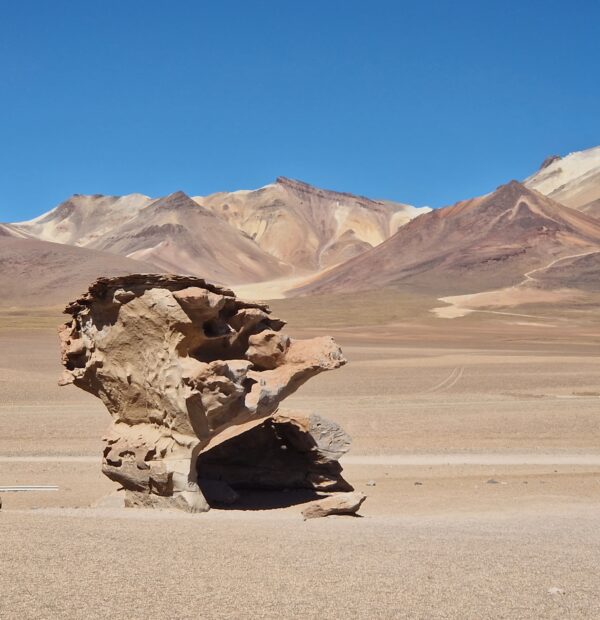 bolivie 100 (10)