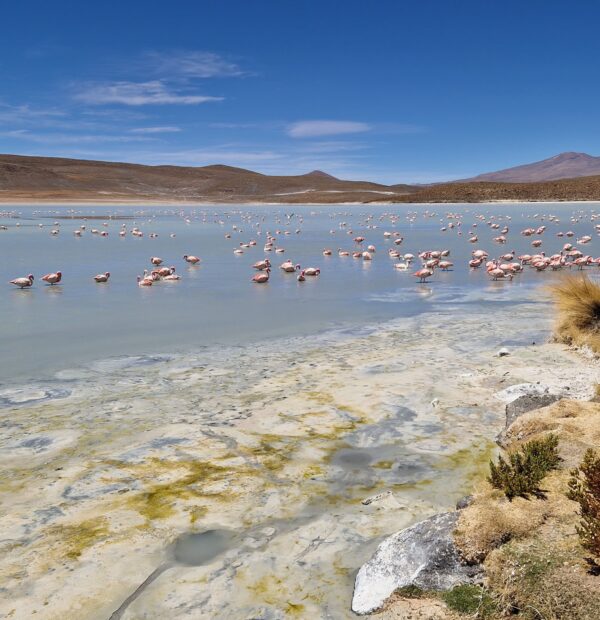 bolivie 100 (11)