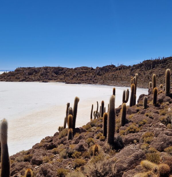 bolivie 100 (17)