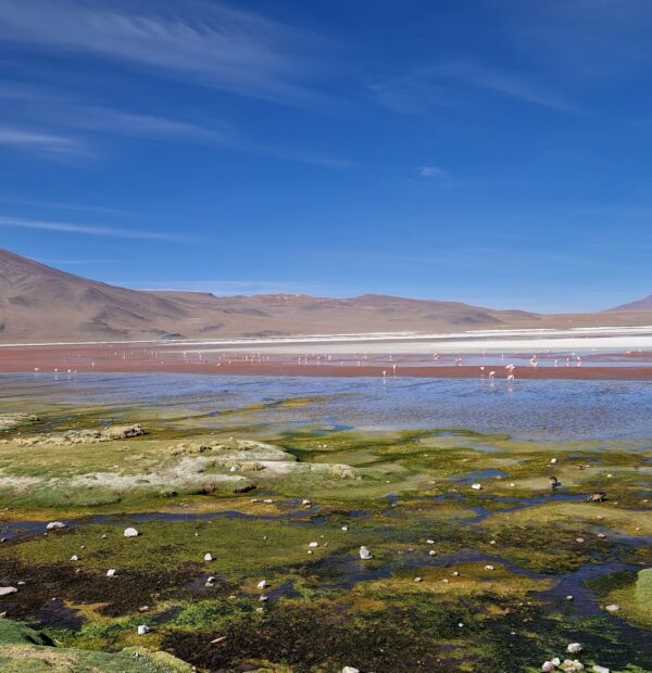 bolivie 100 (9)