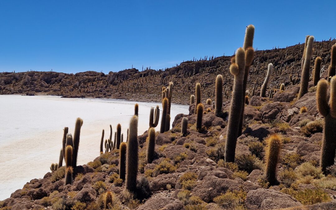 Bolivie