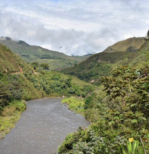Colombie