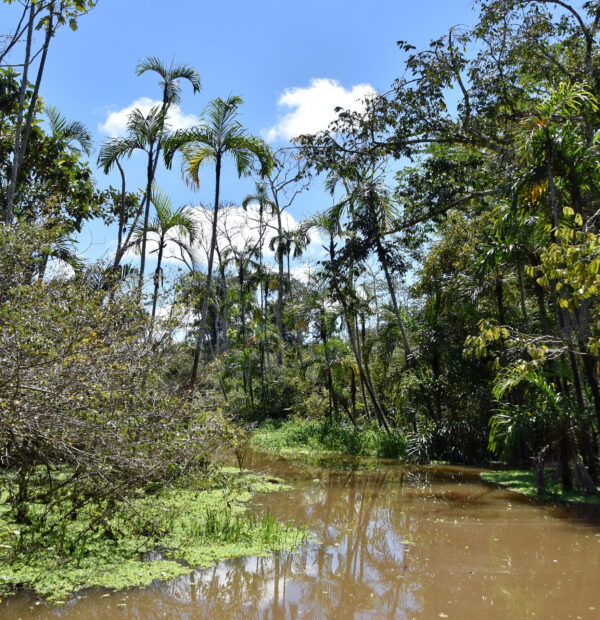 Colombie