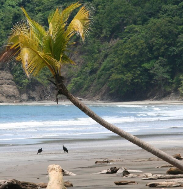 costa023a