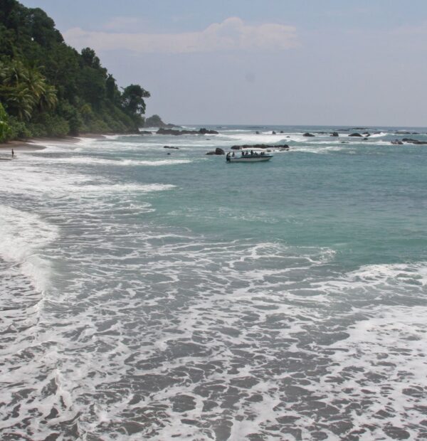 costa043b