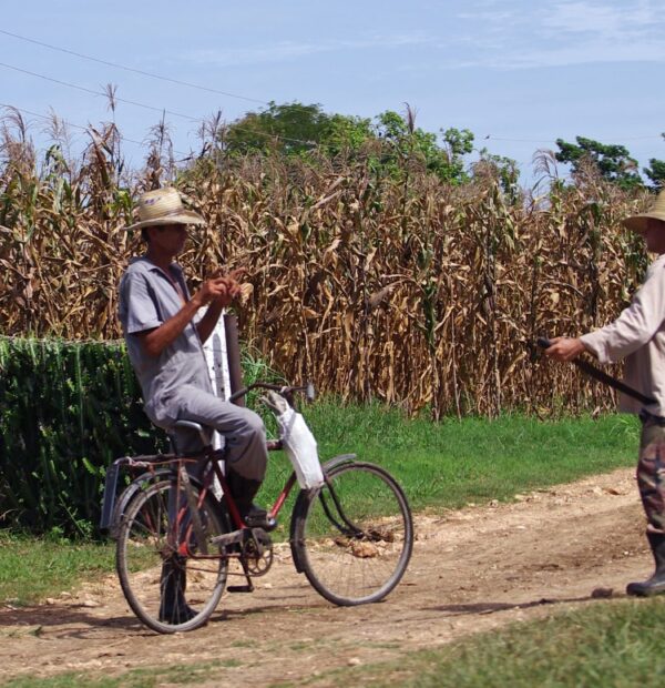 Cuba