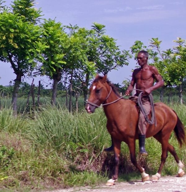 Cuba