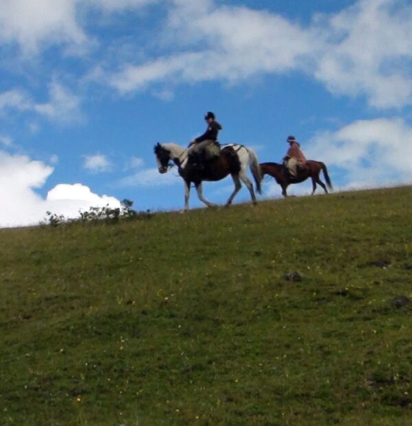 equteur (9)