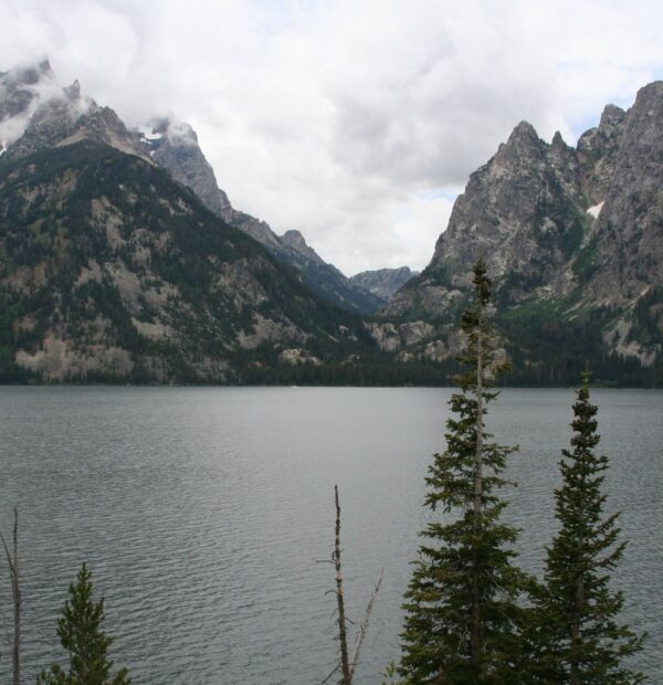 états 060801 014 GRAND TETON NP