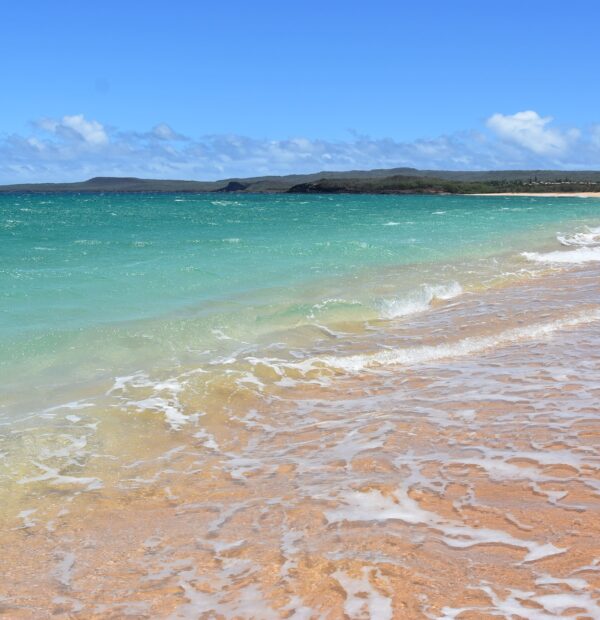 Hawai