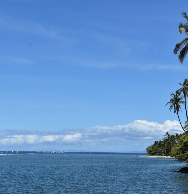Hawai