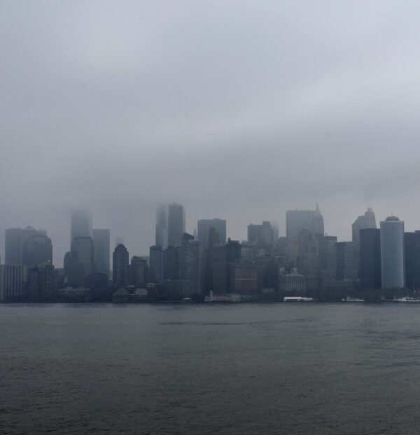 ny (10)