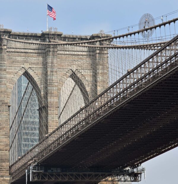ny (11)