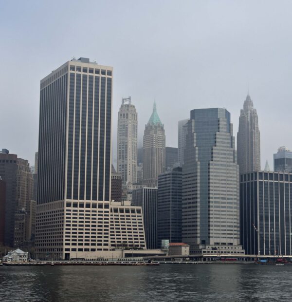 ny (8)