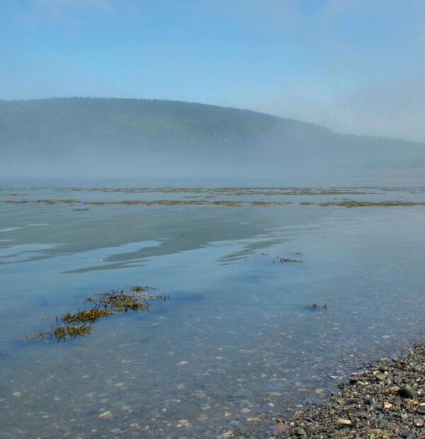 quebec (12)