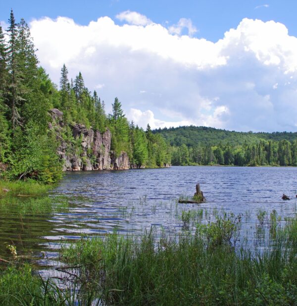 quebec (8)