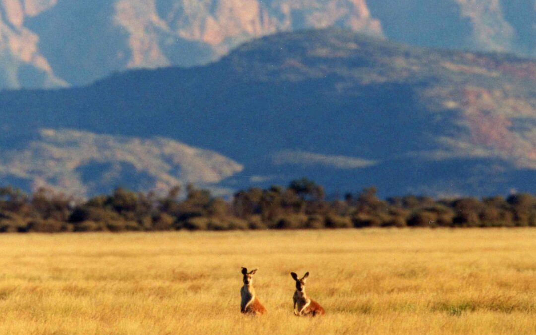 Australie